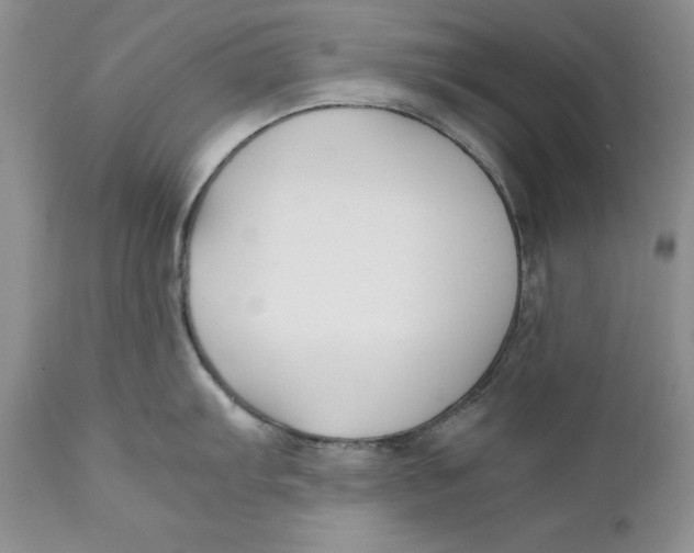 X0000110931103200907091515