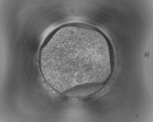 X0000110931104200907091515