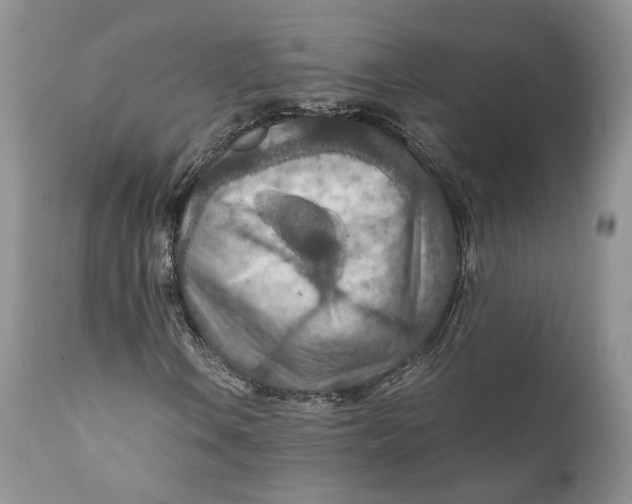 X0000110931106200907091514