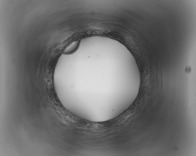 X0000110931109200907091514