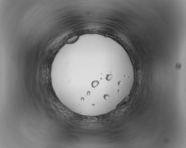 X0000110931111200907091514