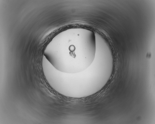 X0000110931112200907091514