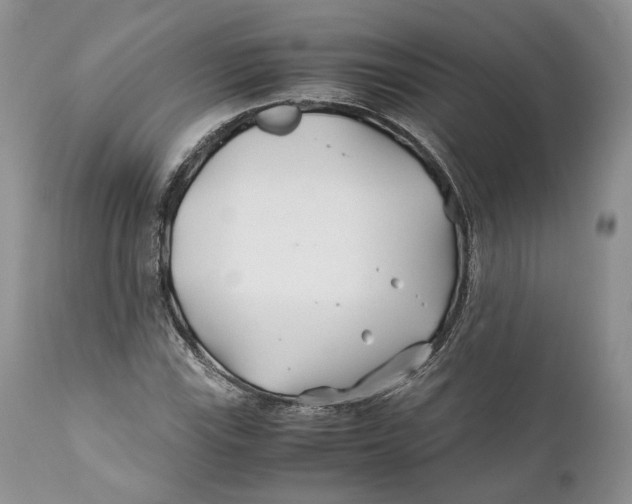 X0000110931115200907091514