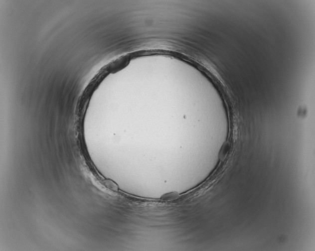 X0000110931116200907091514