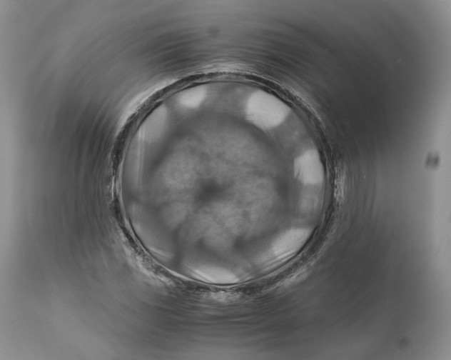 X0000110931117200907091514