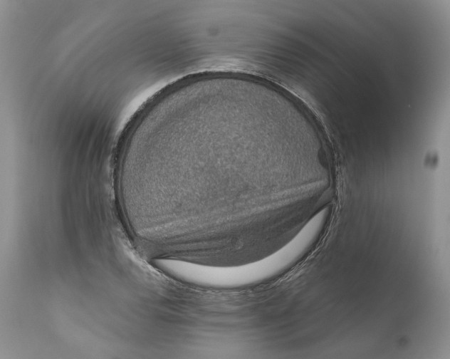 X0000110931120200907091514