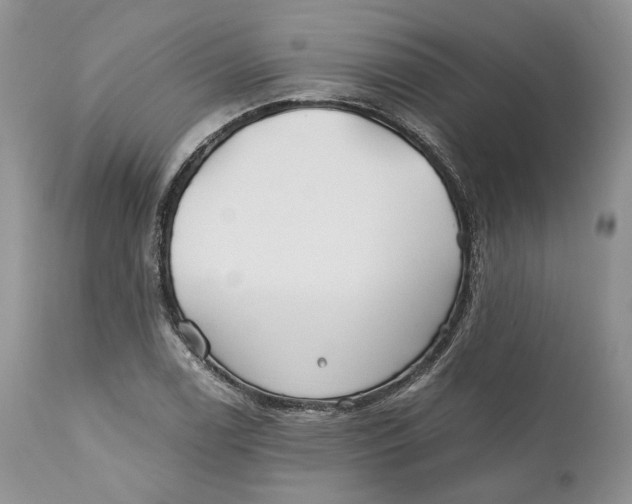 X0000110931122200907091514