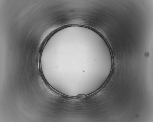 X0000110931123200907091514