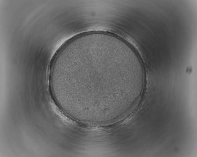 X0000110931124200907091514