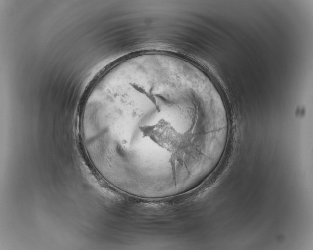 X0000110931125200907091514