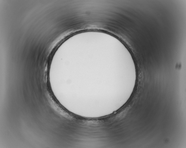 X0000110931126200907091514