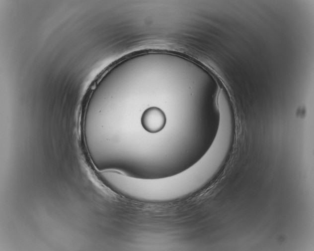 X0000110931128200907091514
