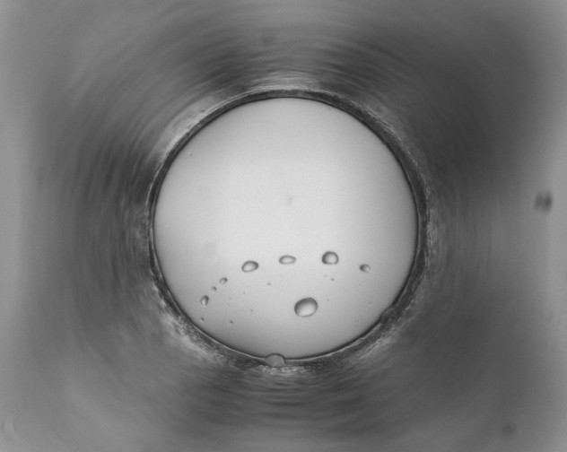X0000110931129200907091514