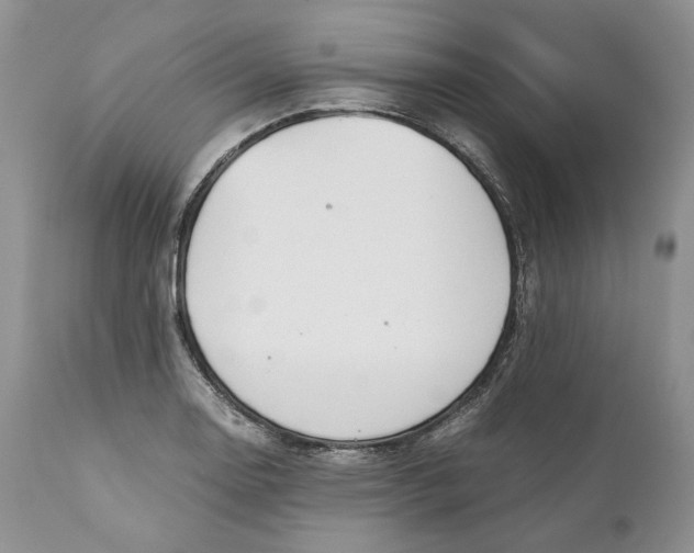 X0000110931130200907091514
