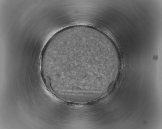 X0000110931132200907091514