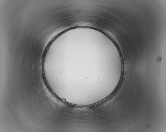 X0000110931133200907091514