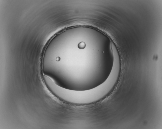 X0000110931134200907091514