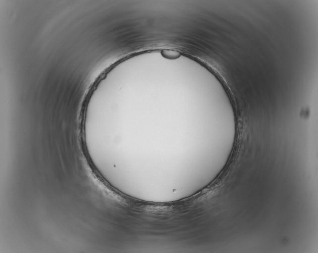 X0000110931135200907091514