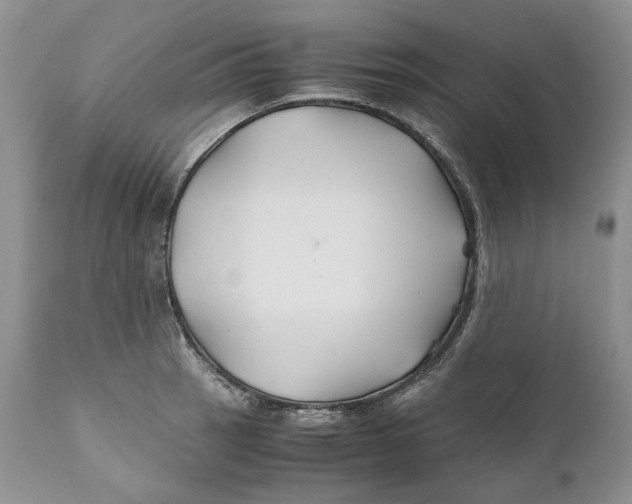 X0000110931137200907091514