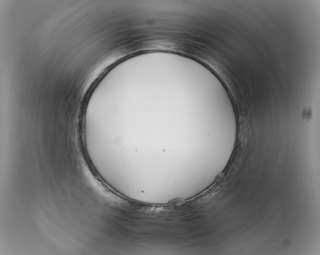 X0000110931139200907091514