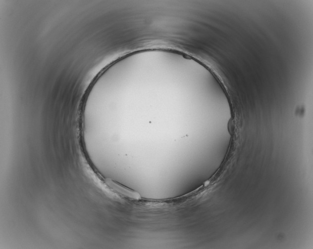 X0000110931142200907091514