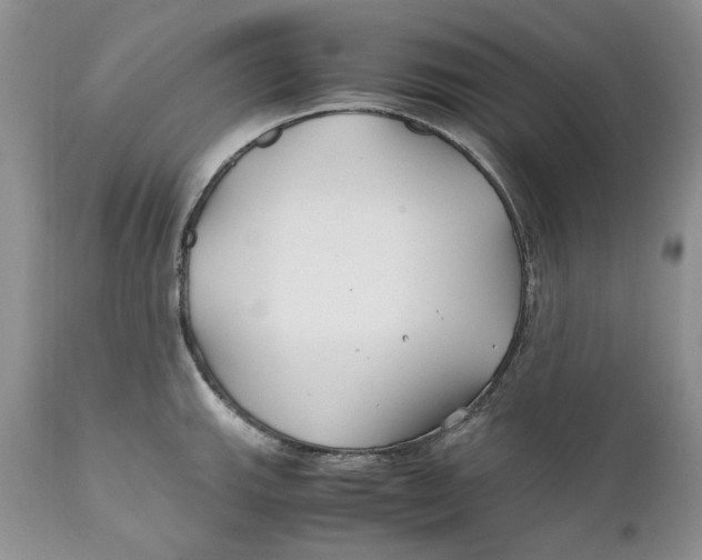 X0000110931143200907091514