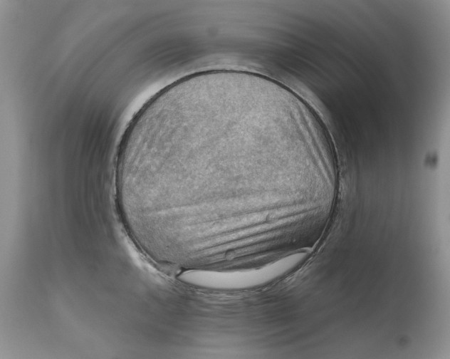 X0000110931144200907091514