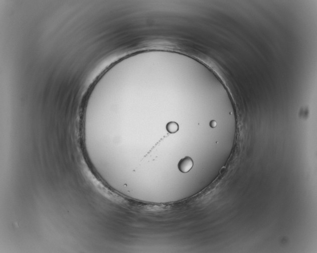 X0000110931147200907091515