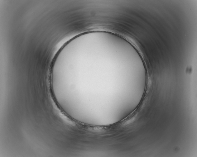 X0000110931149200907091515