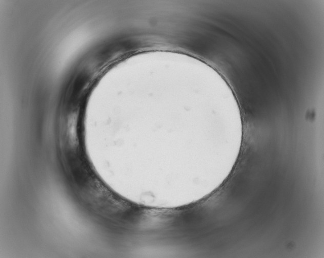 X0000110931150200907091515