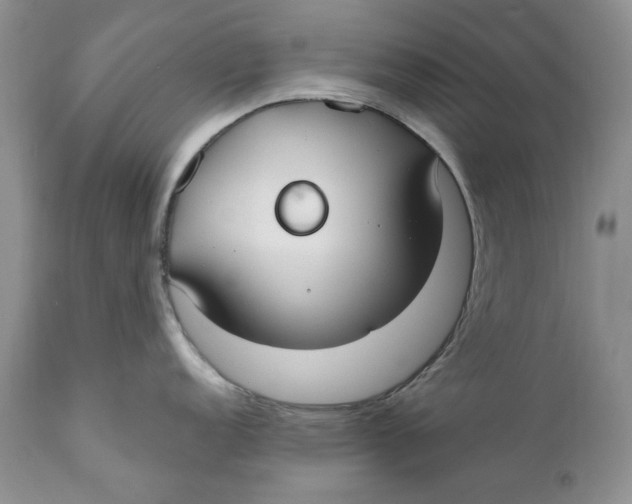 X0000110931152200907091515