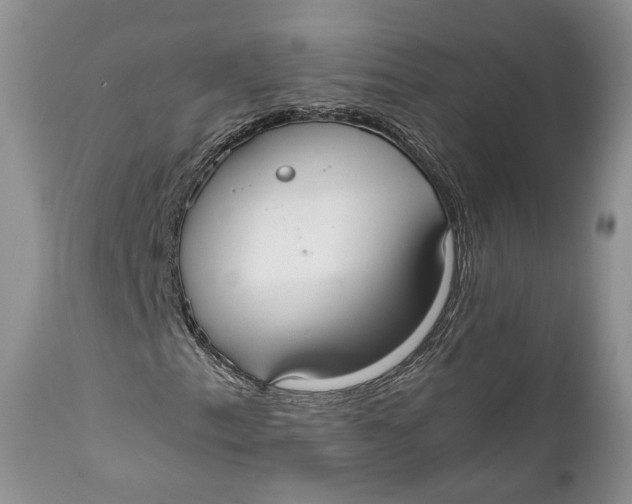 X0000110931153200907091514