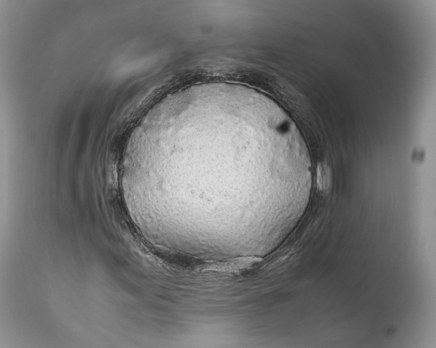 X0000110931155200907091514