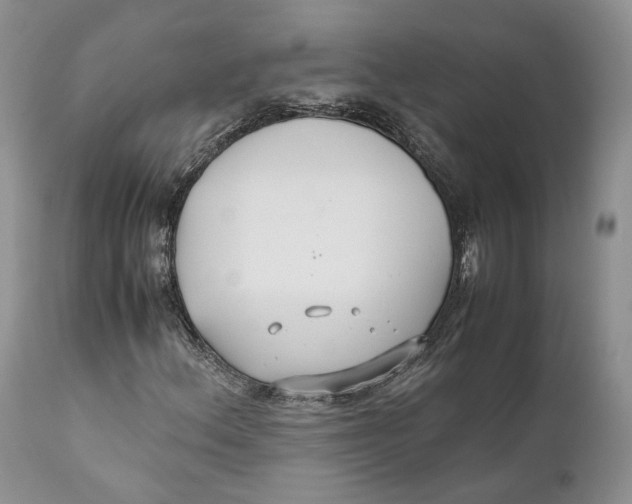 X0000110931156200907091514
