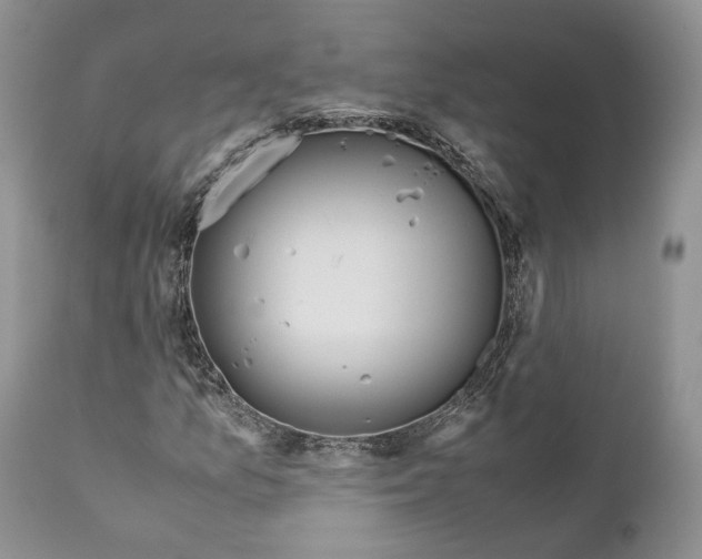 X0000110931157200907091514