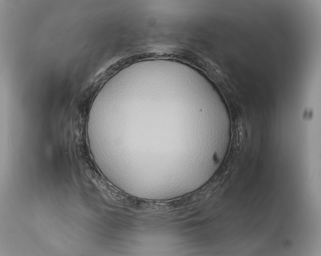 X0000110931158200907091514