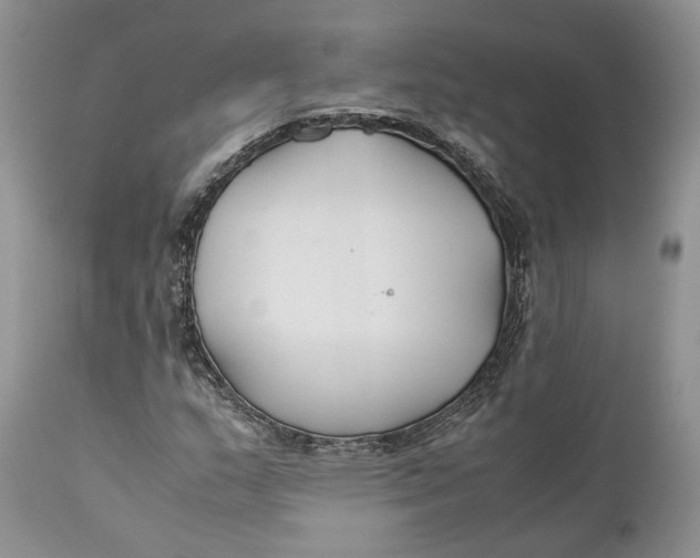 X0000110931159200907091514