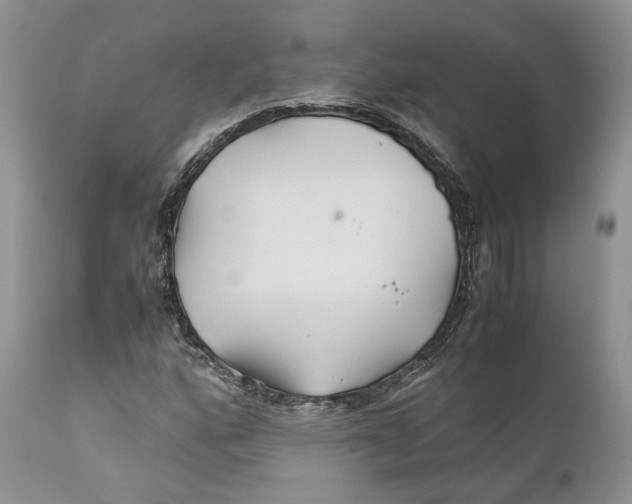 X0000110931160200907091514