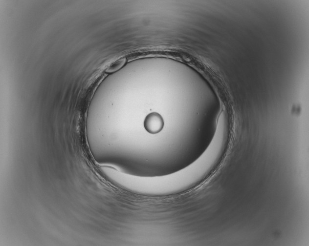 X0000110931161200907091514