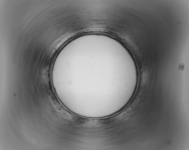 X0000110931162200907091514