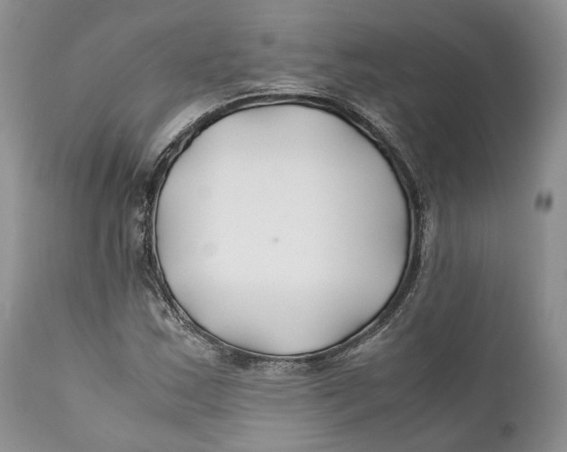 X0000110931163200907091514
