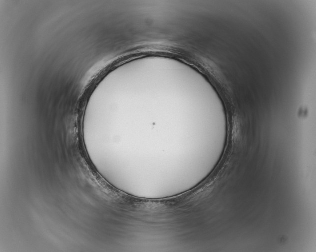 X0000110931164200907091514