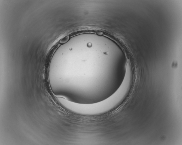X0000110931165200907091514