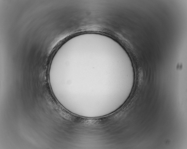 X0000110931166200907091514