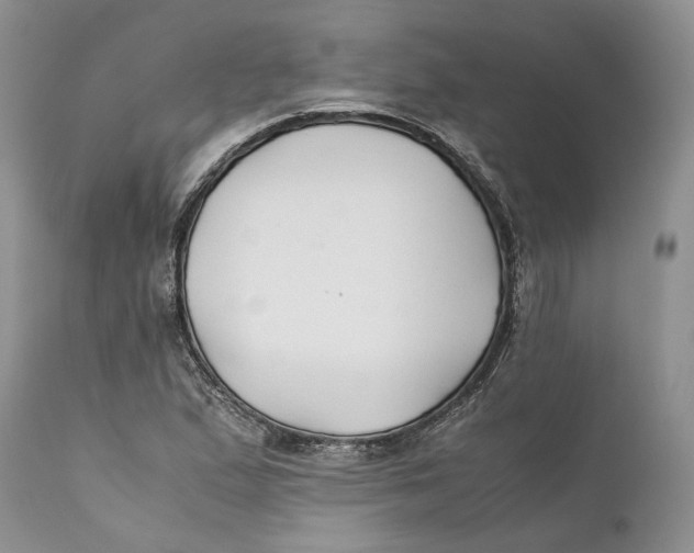 X0000110931167200907091514