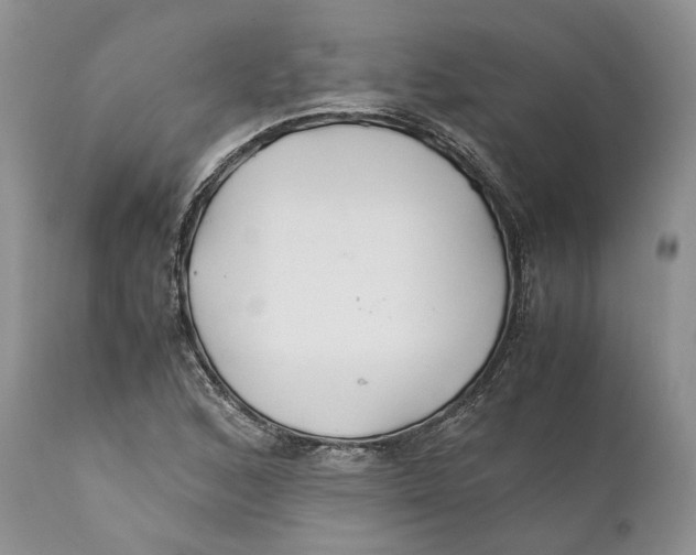 X0000110931168200907091514