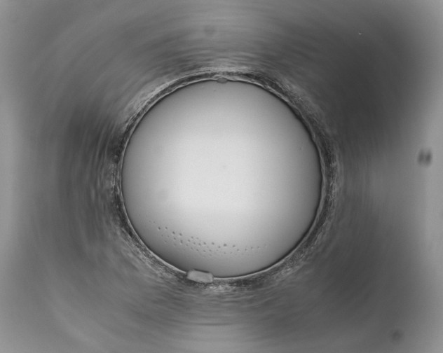 X0000110931169200907091514