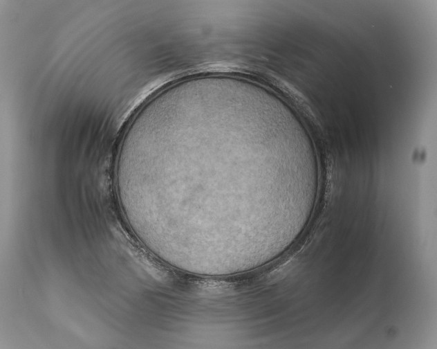 X0000110931170200907091514