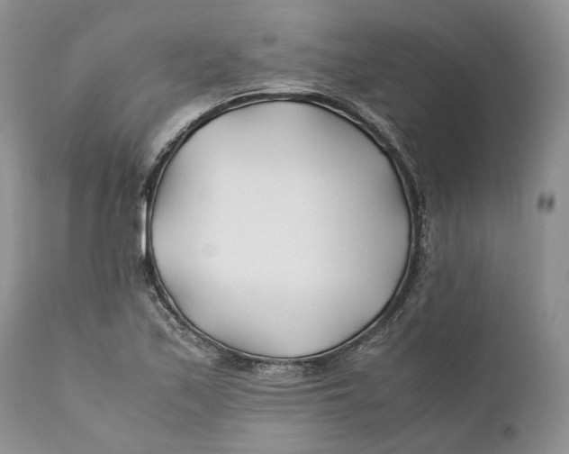 X0000110931171200907091514