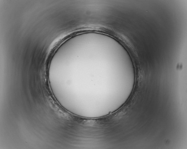 X0000110931172200907091514